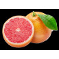 GRAPEFRUIT ROUGE 20PCS